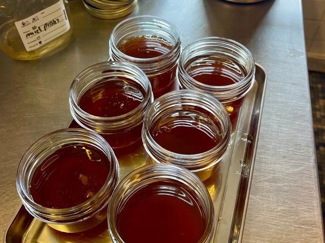 Le Dauphin Miel maison au pissenlit